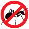 Ant Control Croydon
