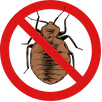 Bed Bugs Control Croydon