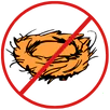 Bird Nest Removal Croydon