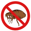 Flea Control Croydon