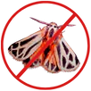 Moth Control Croydon