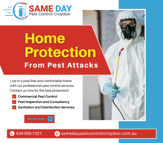 Pest Control Croydon