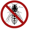 Wasp Control Croydon